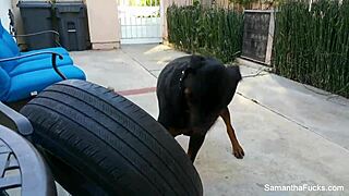 Sexy Samantha Saint Masturbates Her Big Tits and Pussy