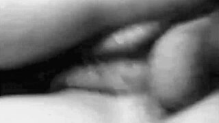 Dark Lantern Entertainment Presents Sins of Step Mothers