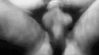 Dark Lantern Entertainment Presents Sins of Step Mothers