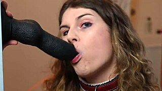 Zeta paws deepthroats dildo intensely solo