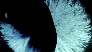 Ever tried vintage threesome action with hairy retro babes?