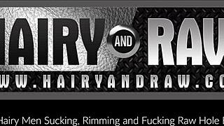 Hairyandraw Kosher Pig Gets Rimmed in Steamy Shower