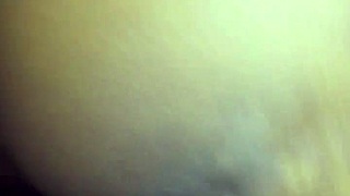 In this xvideo smooth Zulu pussy gets attention