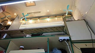 This Crazy Girl Doesn't Mind Being Upskirted at Work for Extra Money