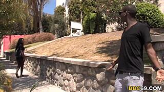 alanah rae handles a massive black cock with ease