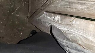 prichytil som susedu ako si honí na verejnej toalete a pridal som sa k nej