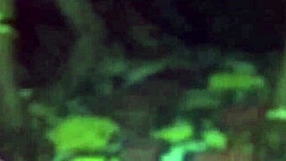 I picked up the sleeping bhabhi and fucked her.