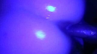 Different Breed Pawg Showcases Purple Glow Customs