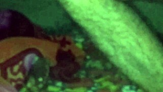 I picked up the sleeping bhabhi and fucked her.