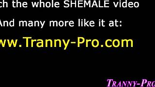 ねえ、このシーメールが男のチンポにプロみたいに騎乗位するの見たい？どれだけワイルド？