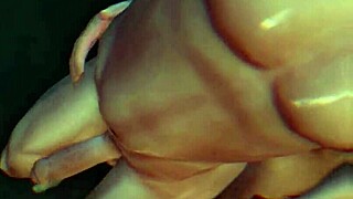 Sims 4 En La Mitad Del Rio