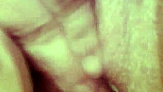 Hot and wet little fox