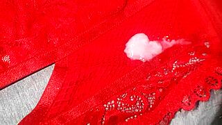 Just like the lingerie I pleasure myself and top myself off on my buddy's crimson underwear
