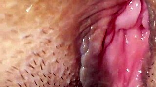 My Wife's Daily Routine