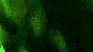 dragged a guy from the square to my car, check full on xv red