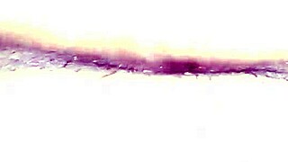 Big Black Cock Teases Wet Fat White Pussy Until Squirting.