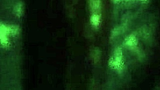 Lesha's Deepthroat And Sloppy Blowjob