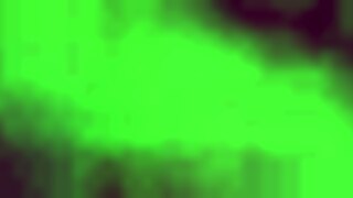 Selena Lust's quickie with huge BBC stretching her