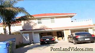 feeling the passion in a threesome party with hot sluts at friend's house