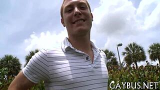 Homo Bear Engaging In Intense Sex