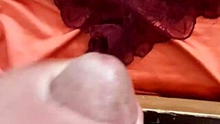 The panties of my sister-in-law with a cumshot