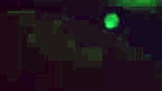 Massage for the Anal Lovers