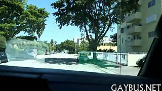 pleasuring blowjob with a homosexual