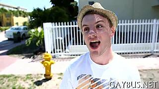 pleasuring blowjob with a homosexual