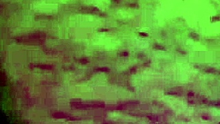 Creampie My Neighbors Pussy with Latina Milf Blowjob Cumshot.