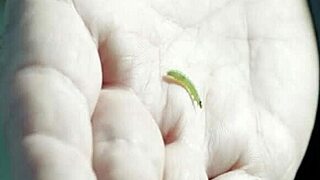 chernobyl girl e5 tells her story of adventure.