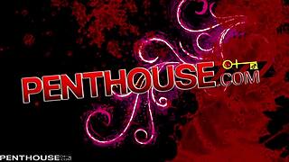 Hardcore Fiend Allison Moore Gets Pussy Fucked Senseless by Stranger