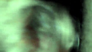 Amateur interracial blowjob teasing session