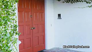 Enjoy with interracial couple steamy handjob and pussy fucking session