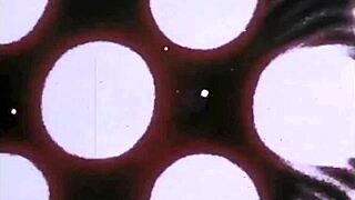 vintage group sex feels so passionate