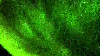 Blonde Twin Better Than Her Sister?