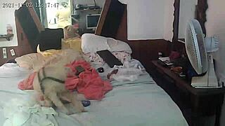 Party In Bed! Can I Handle These Big Asses?