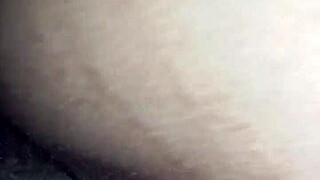 Where to find creamy pussy amateurs.