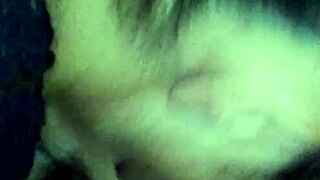 Video From October 29, 2014