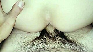 wife's wet hairy asshole gets intense quick anal fucking in bdsm quickie