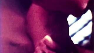 Vintage step sister secret liaison