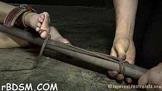 Babes Hot Assets In Slutty Action