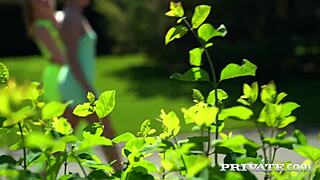 private com hosts alexis crystal and cherry kiss in wild orgy.