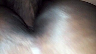 Big Booty Phat Dick Light Skin