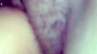 Another amateur video where it ends up playing around