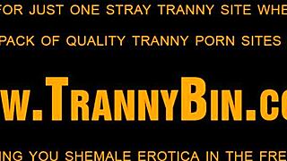 latin shemale masturbation with tattoo babe solo crossdressing