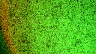 Check this hot lingerie try-on haul, pure GFE vibes!