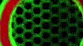 Big Boobed Mature Vicky Vette Rubs Oiled Pussy In Solo Play