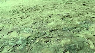 Man, the heat hit me and I just went for it right away!