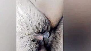 Fucking my wife's delicious pussy every night