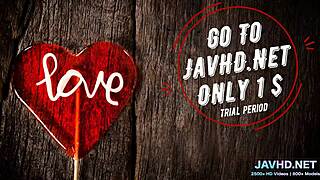 HD Сборник японских MILF том 8